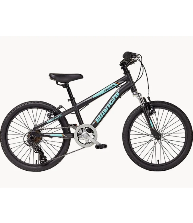 Bianchi Duel 20  Bianchi Duel 24  Bianchi Dragon