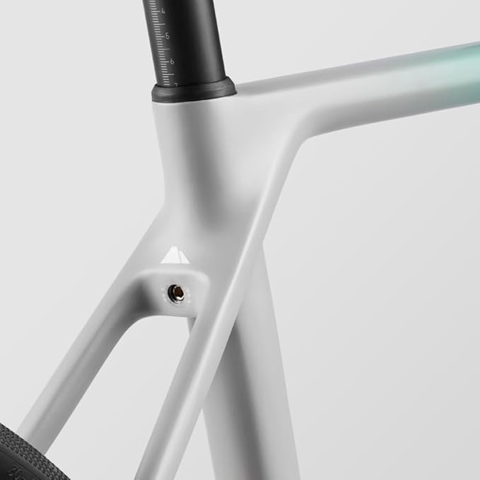 Canyon Roadlite 8 2
