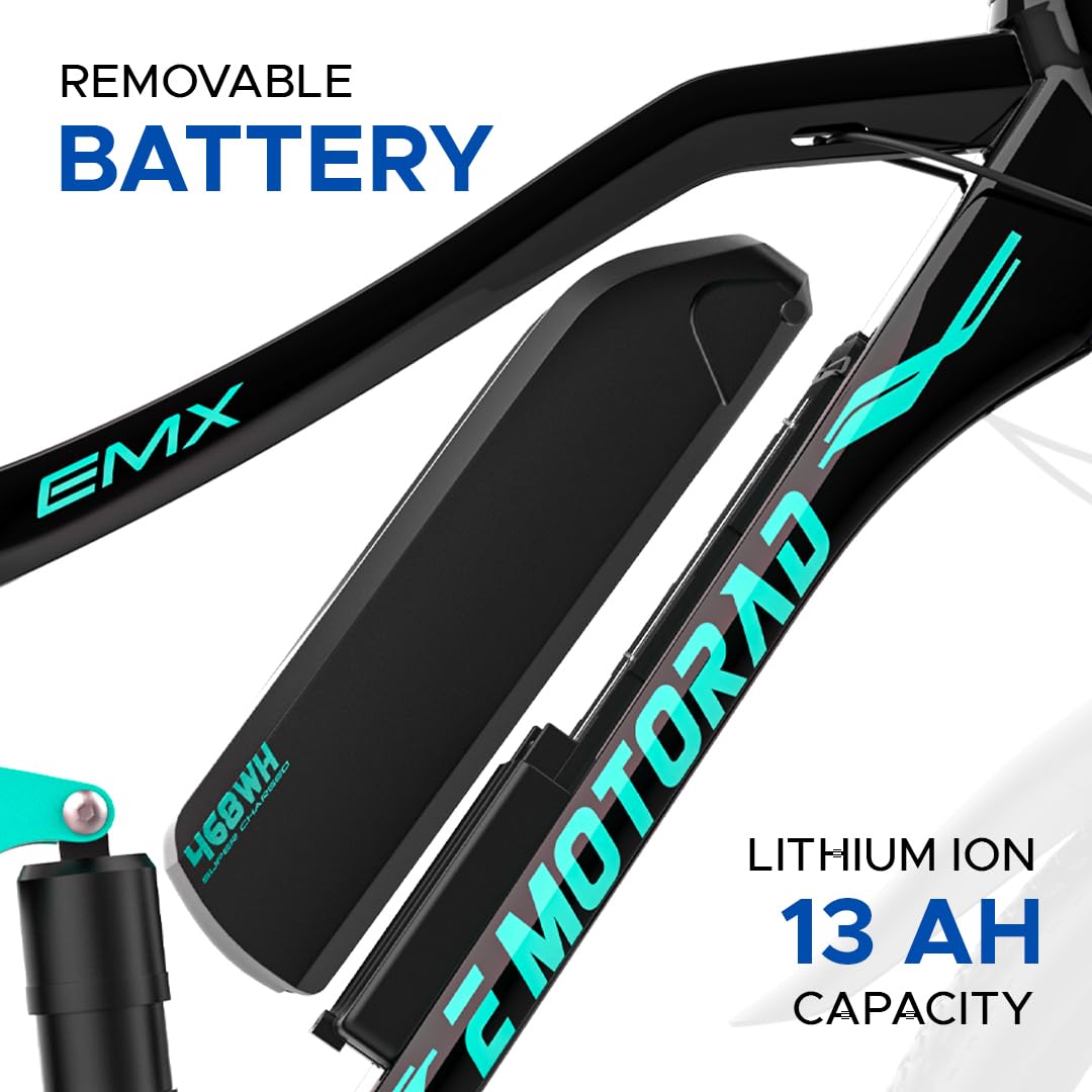 EMotorad EMX2