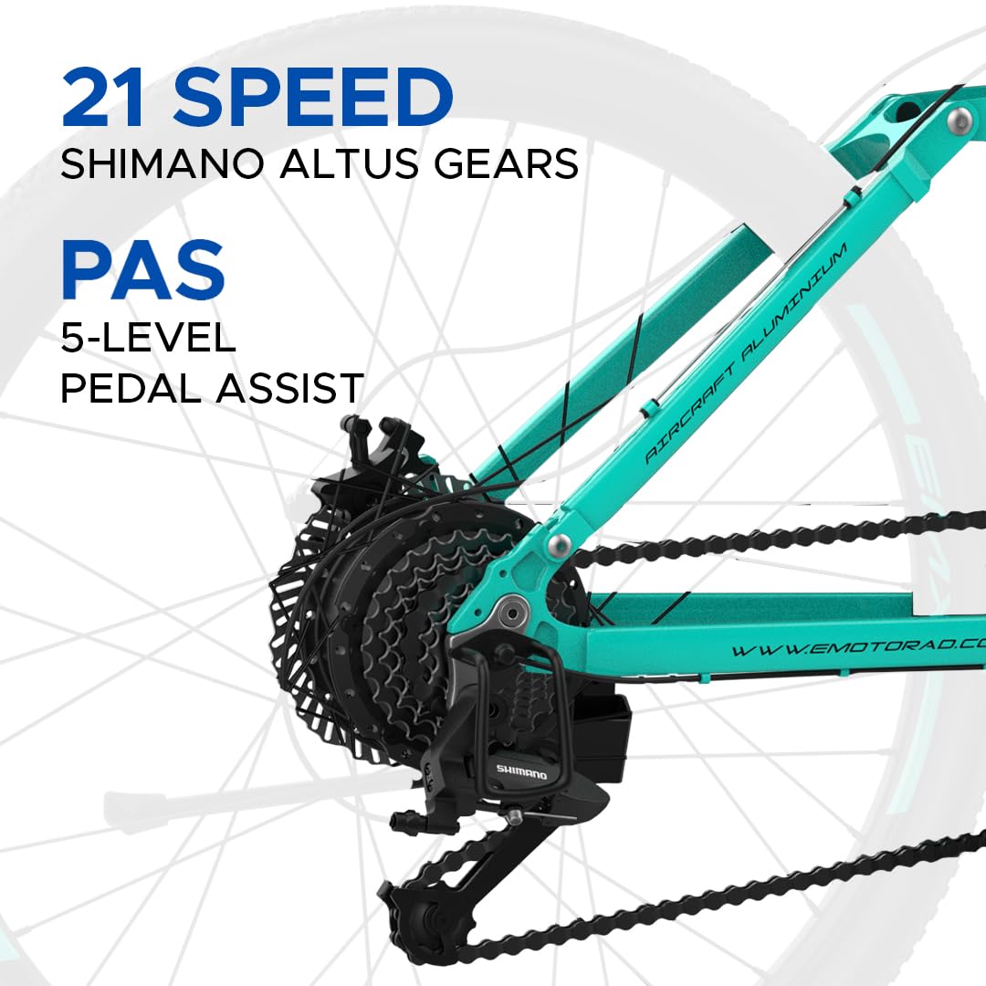 EMotorad EMX4