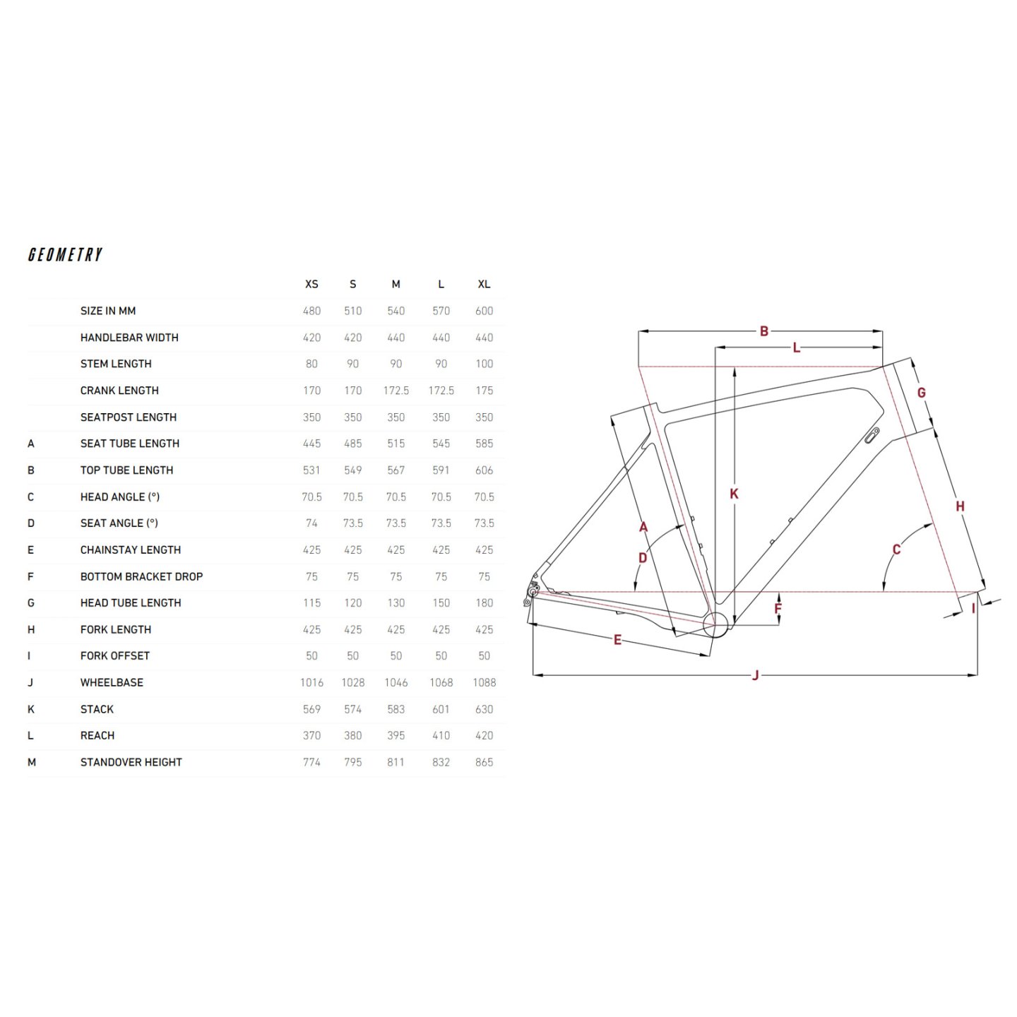 Focus Atlas (Gravel) 1
