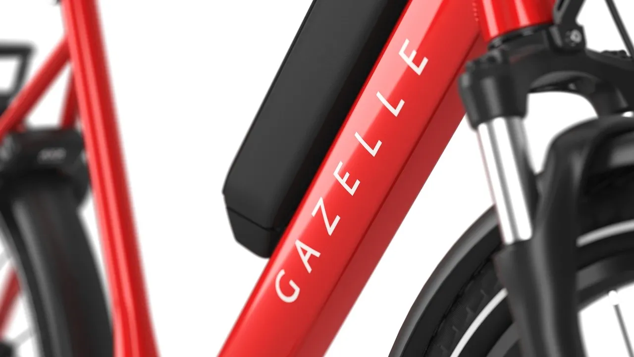 Gazelle Medeo T9 5