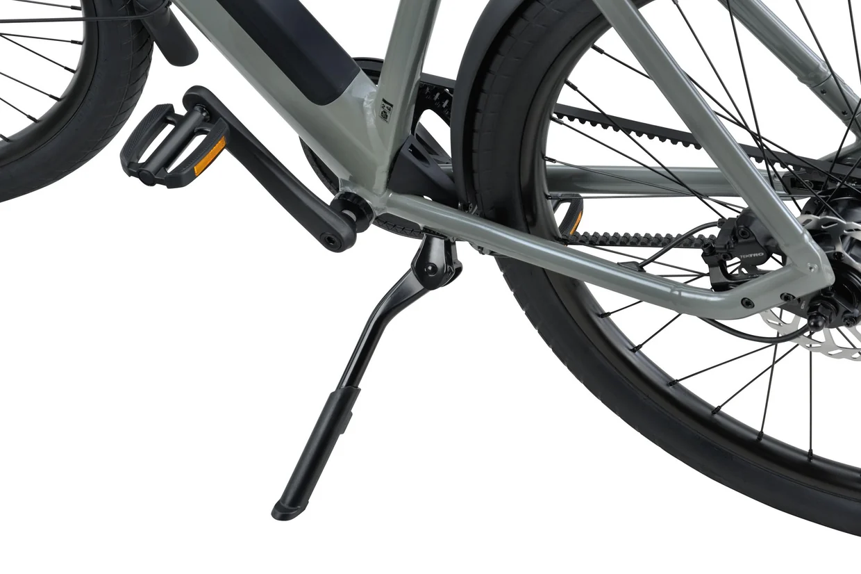Raleigh Pioneer 11