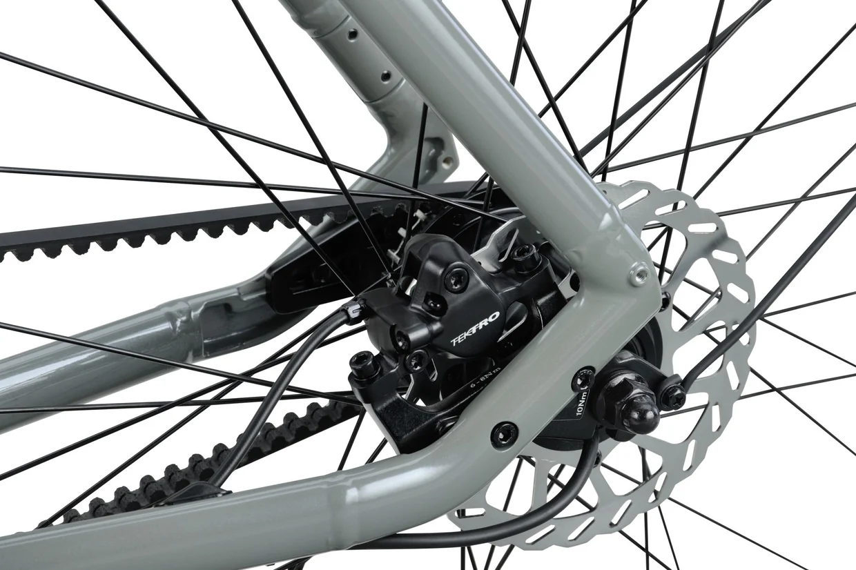 Raleigh Pioneer 4