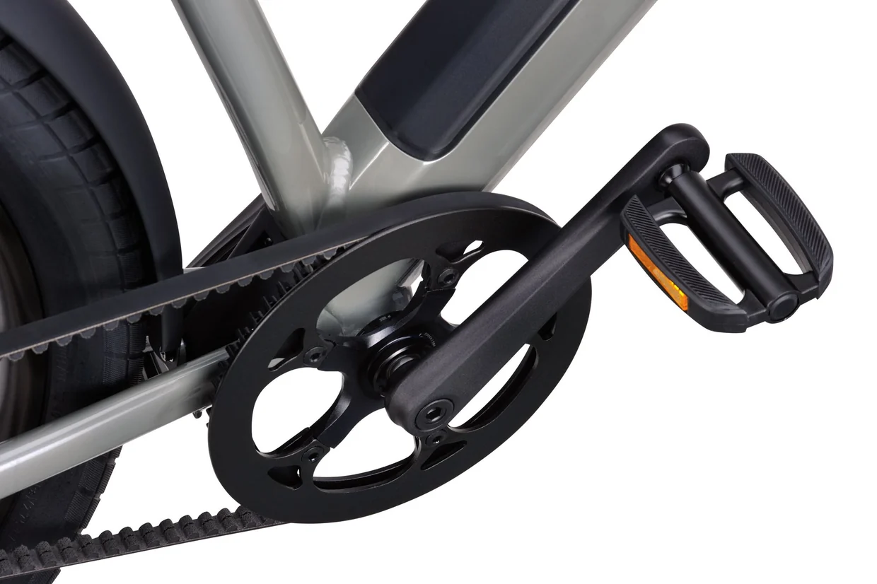 Raleigh Pioneer 6