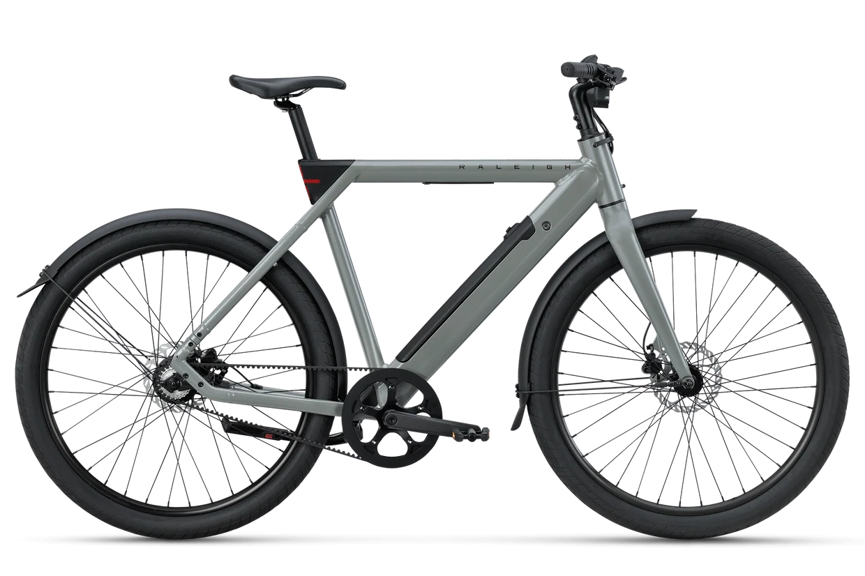 Raleigh Pioneer