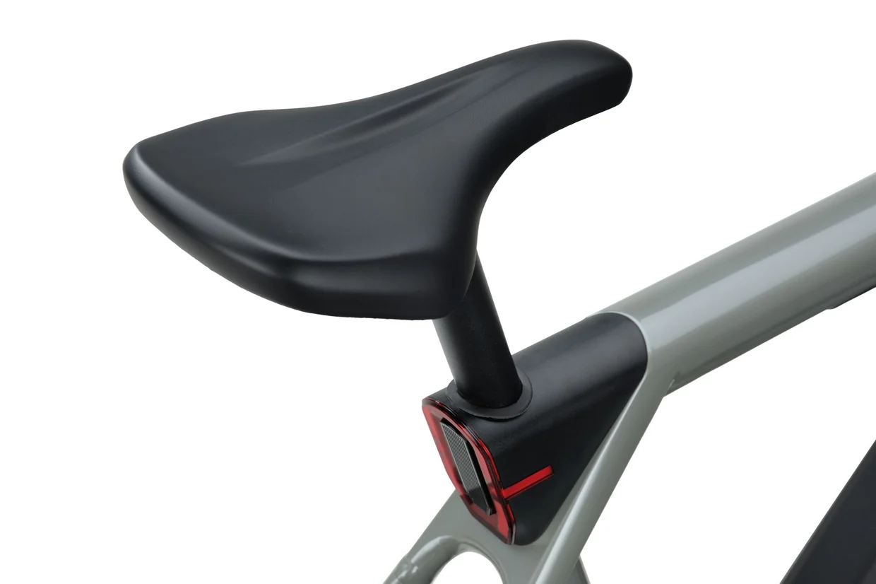 Raleigh Pioneer 9