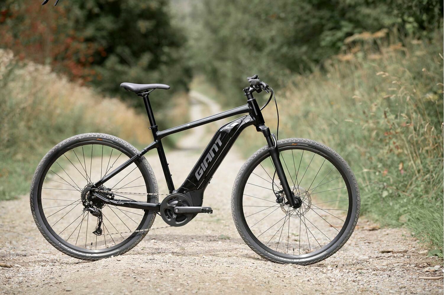 Roam E+ GTS 2