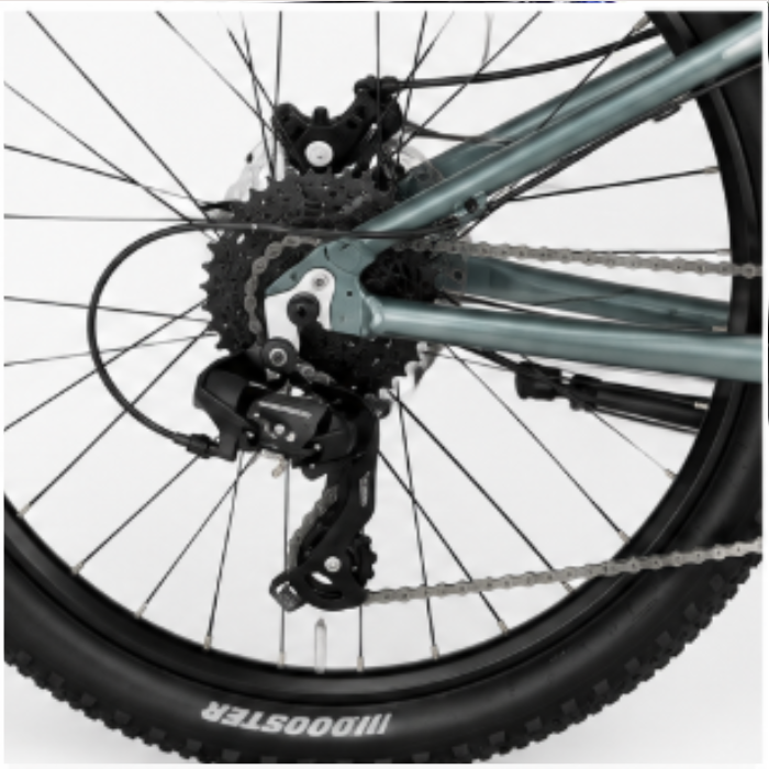 Scott Contessa 24 (1)