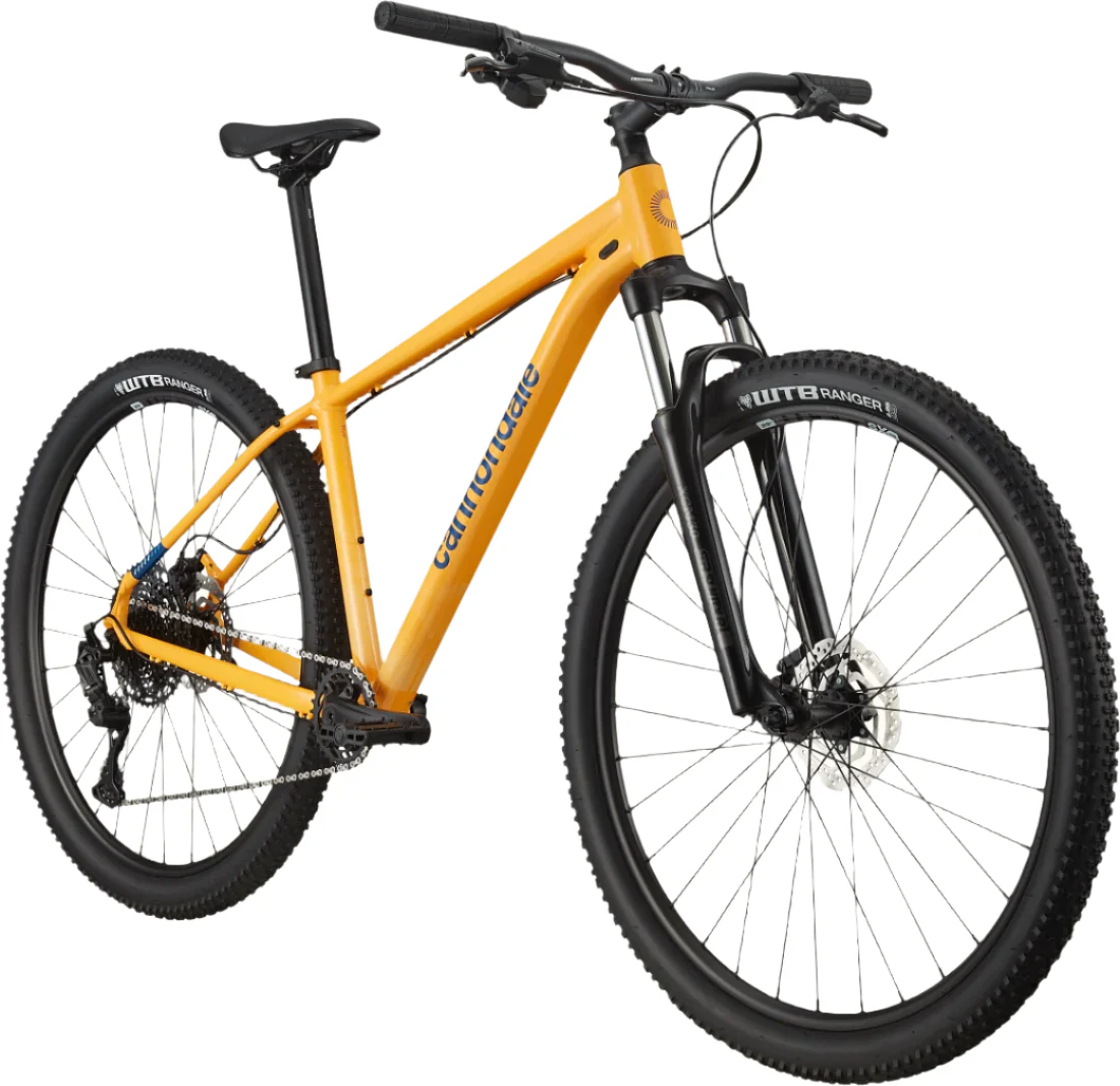 Trail 5 (Mango) 1