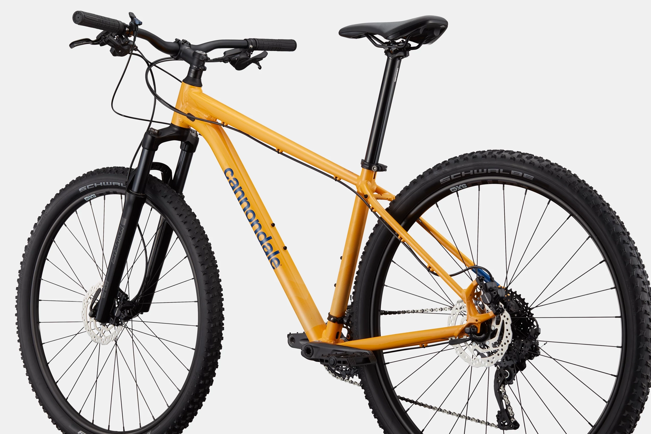 Trail 5 (Mango) 4